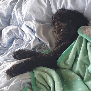 Meet your Posher, Cassandra